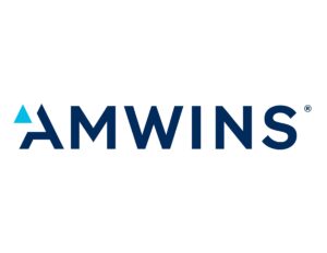 Amwins logo with blue triangle symbol