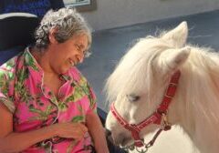 Mini Horse horz